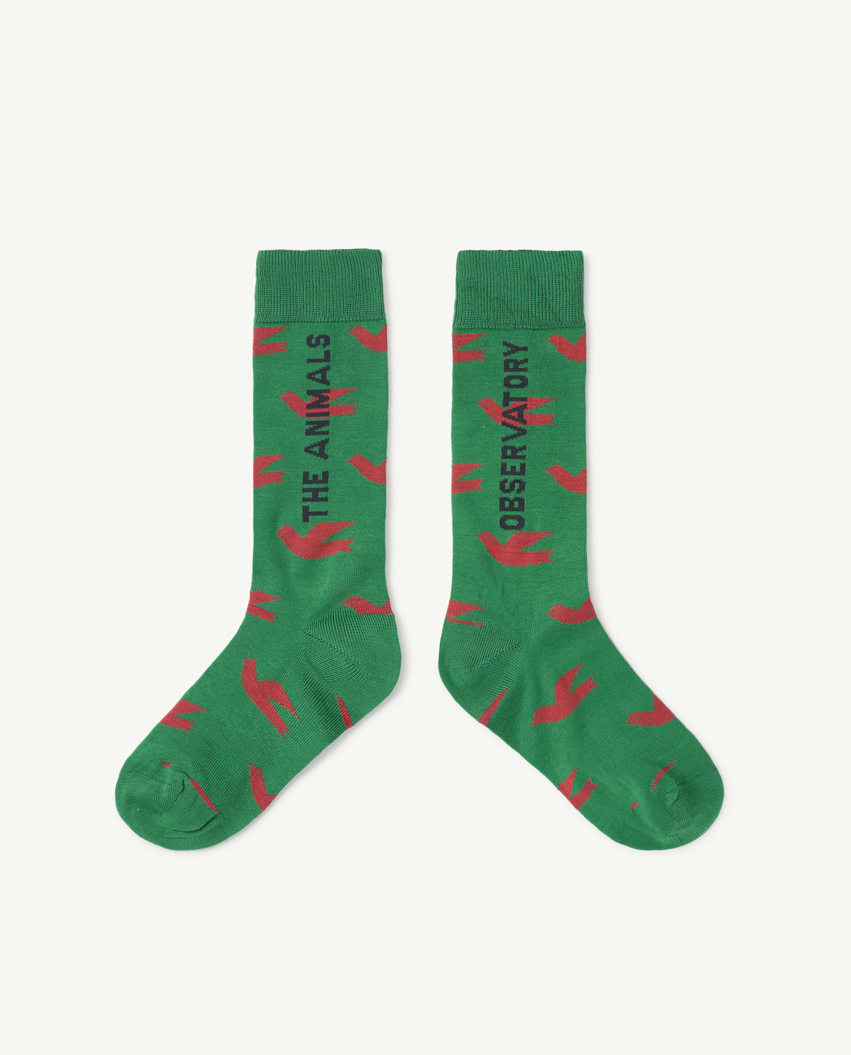 Birds Green Worm Socks
