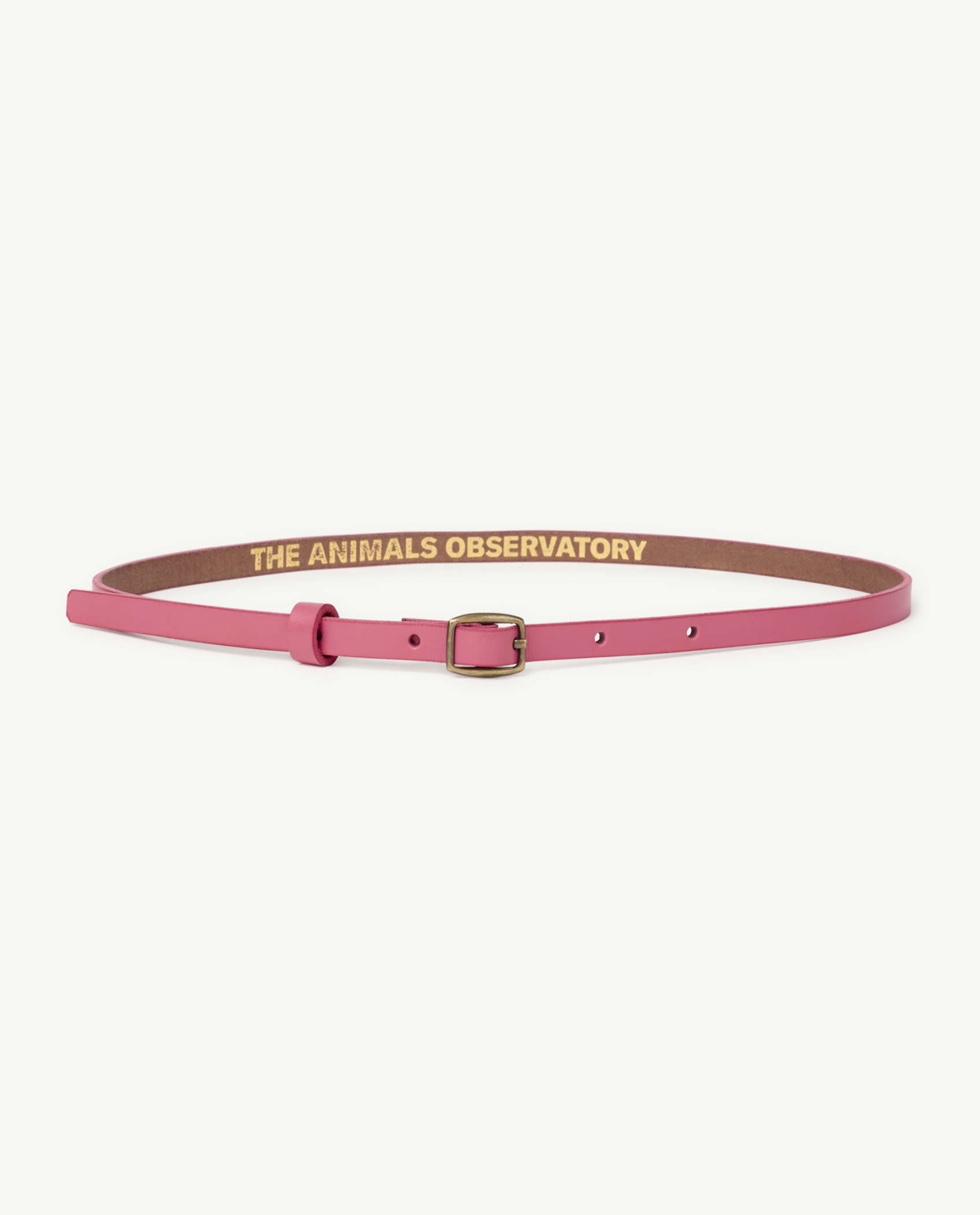 Pink Ibis Belt
