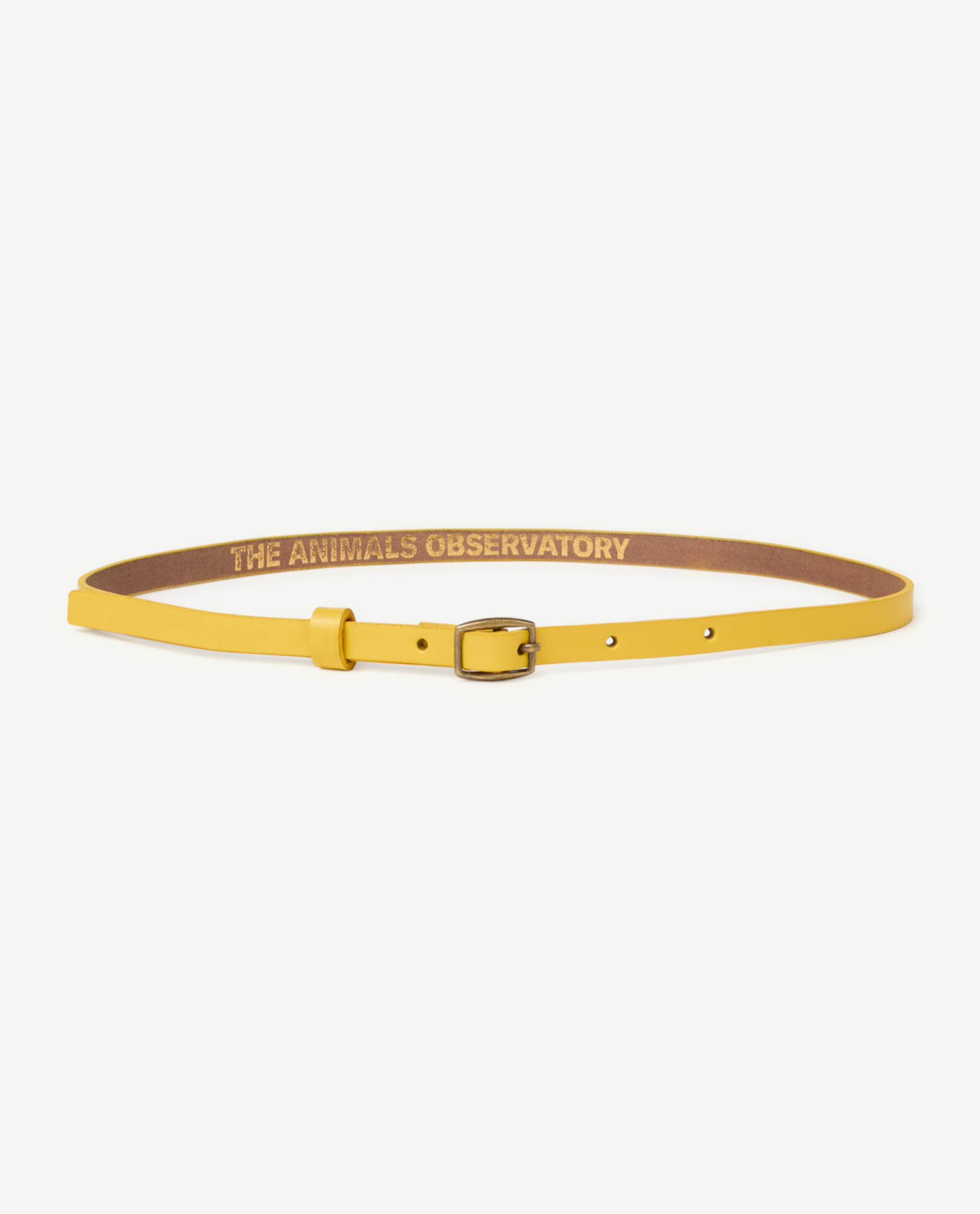 Yellow Ibis Belt